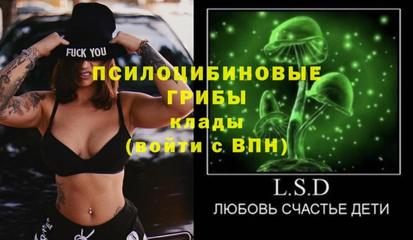дмт Киреевск
